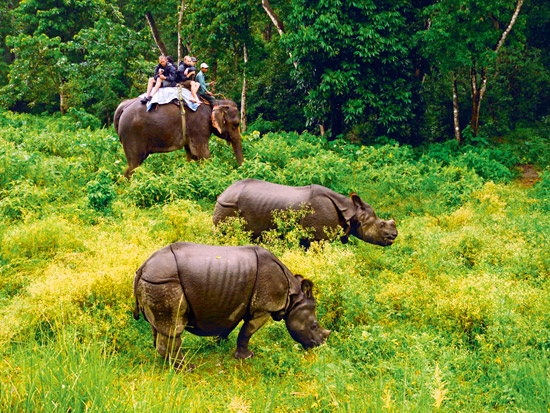 chitwan-days4