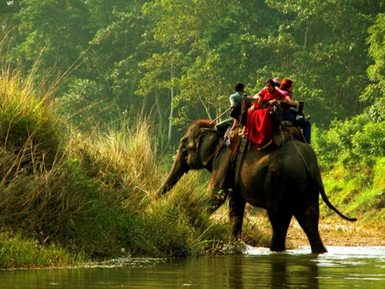 chitwan
