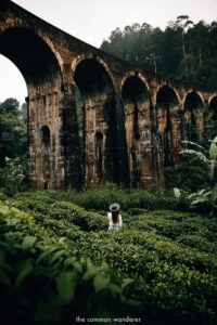 Nine Arch Bridge