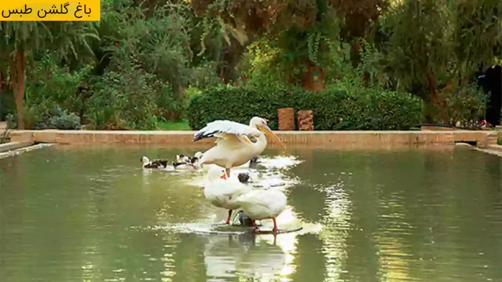 633c5a4c-9514-403a-82af-afd66598b435